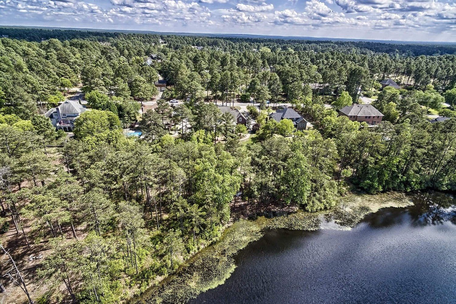 Aerial of a neighborhood meeting the lake beneath dense mature trees