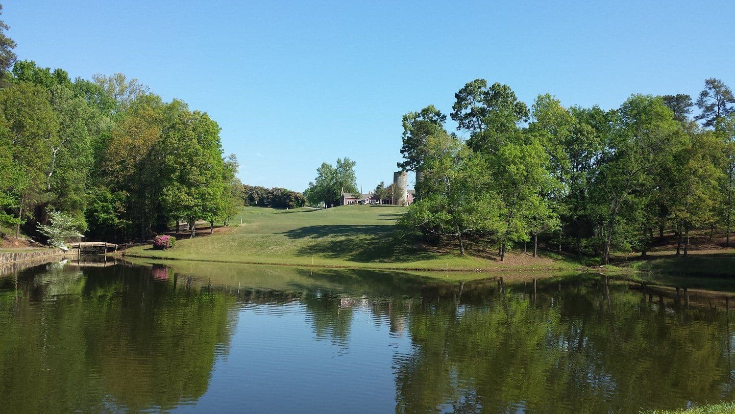 Calm pond reflecting a line of trees beside a large green lawn