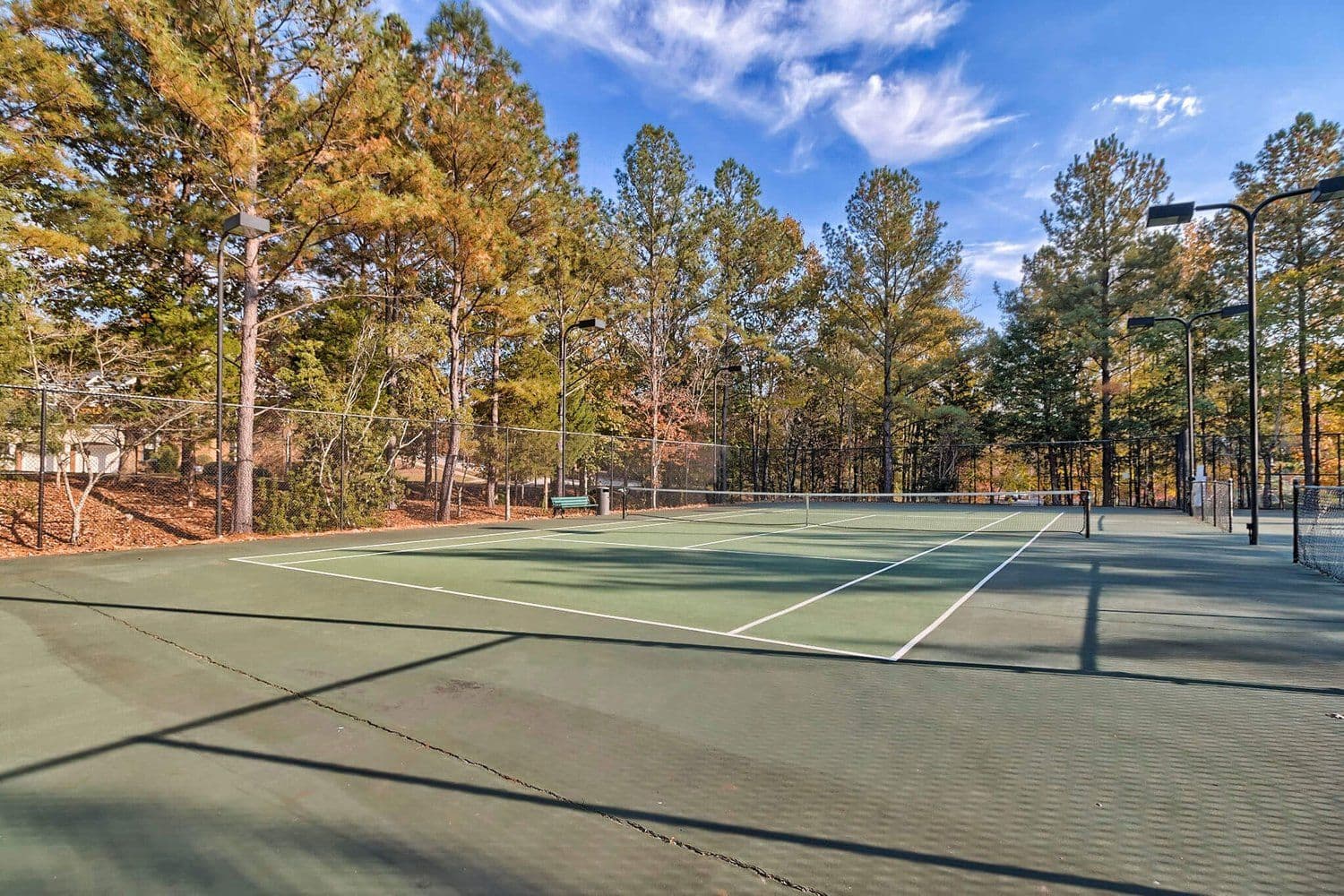 Green tennis court surrounded by pine trees